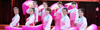 2015年國慶歌詠比賽女子代表隊--《第五套大秧歌》